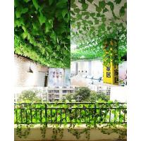 uploads/erp/collection/images/Home Garden/CongDing/XU0610424/img_b/XU0610424_img_b_4